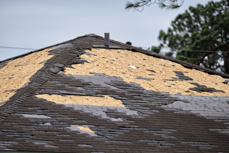 Damaged Roof Repair